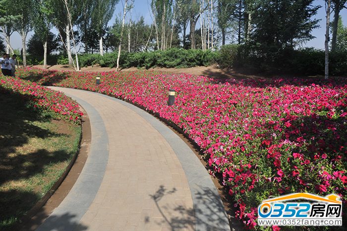 131610094da7b4840f4564.jpg 251137446fbce91c531974.jpg