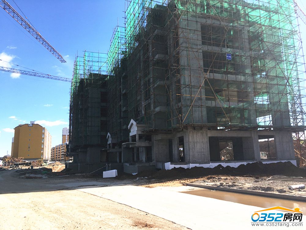 1017291826d629dce22318.jpg 1017291826d629dce22318.jpg