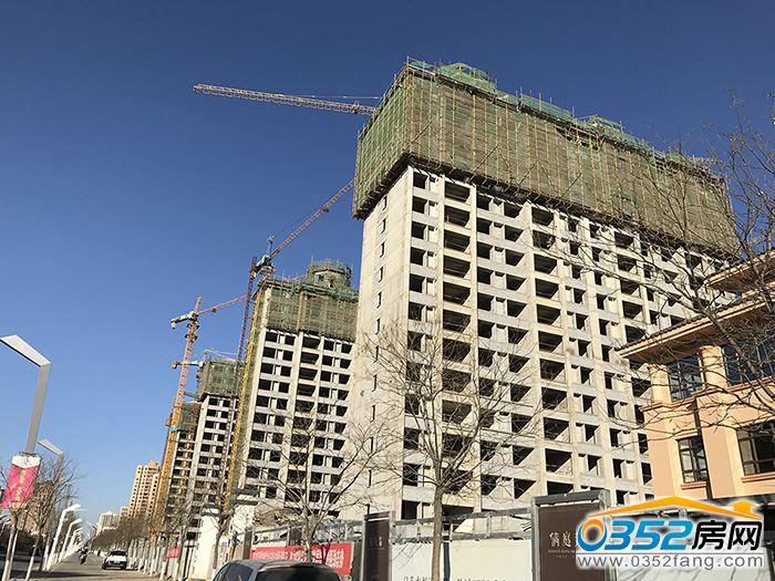 07120326490a49fba90019.jpg 49.jpg