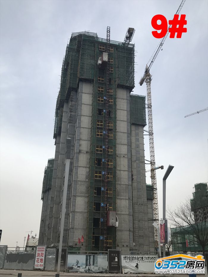 281034483cc2bedf207415.jpg 4.jpg