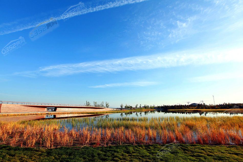 031614043f32e10ae52073.jpg 031614043f32e10ae52073.jpg