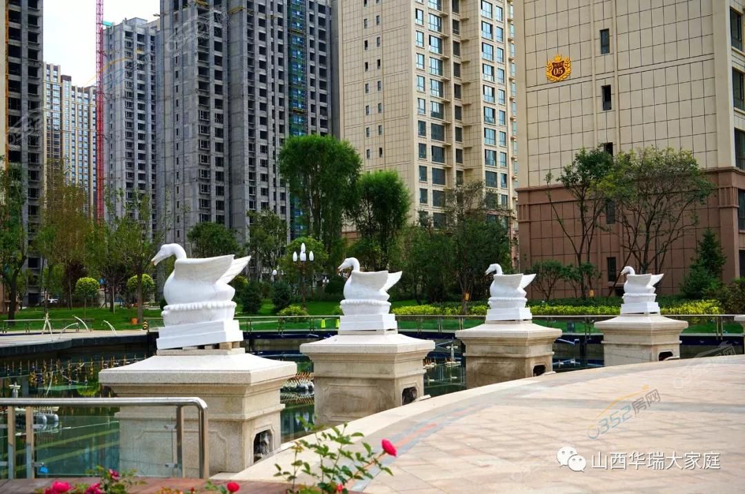 25153512a0b55b29ab2486.jpg 25153512a0b55b29ab2486.jpg