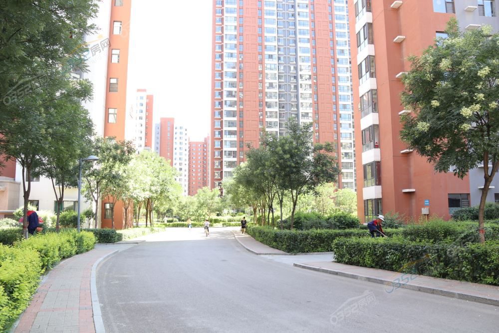 13151553204183c0073562.jpg 13151553204183c0073562.jpg