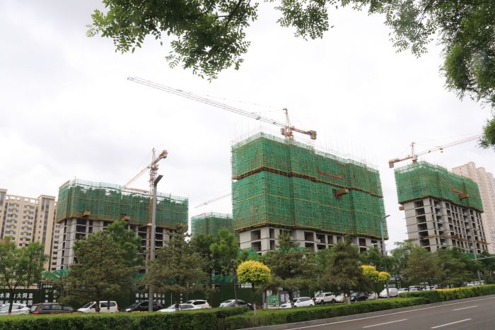 26175612fd8a6c78c69900.jpg IMG_8488.JPG