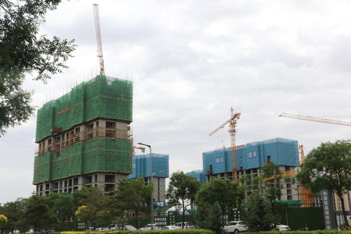 261800193ec5d8cb725410.jpg IMG_8487.JPG