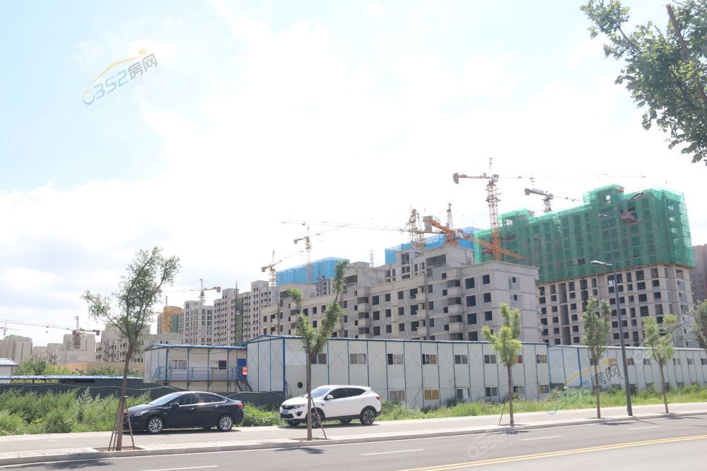 12173241e6f2ab721d1182.jpg IMG_1192.JPG