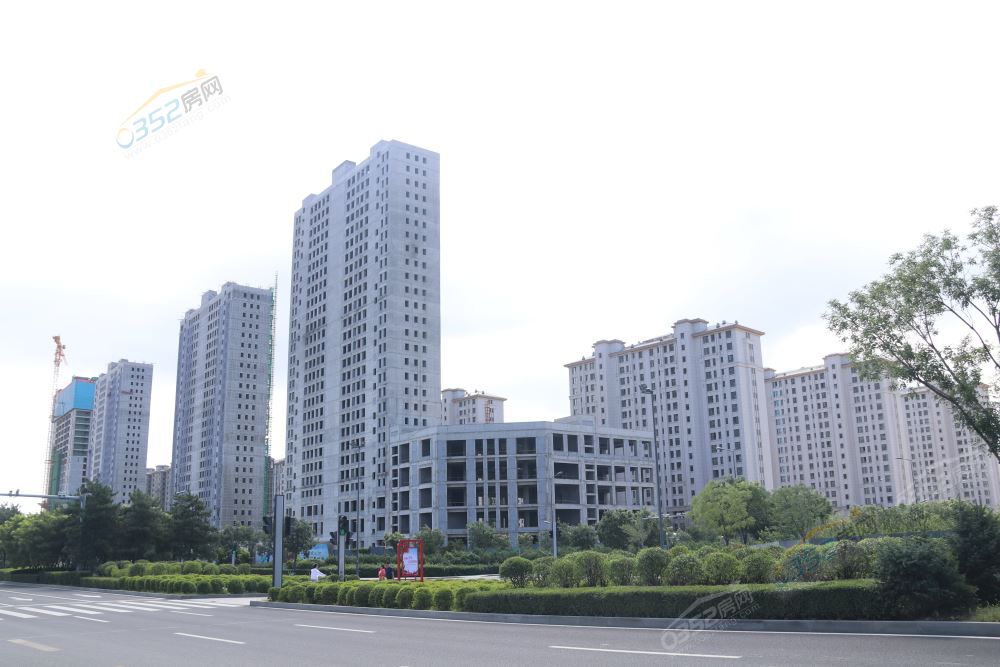 12173400ec8a8de5fb1052.jpg IMG_1177.JPG