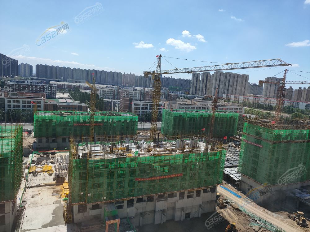 12173705596f6d9a505266.jpg 878.jpg