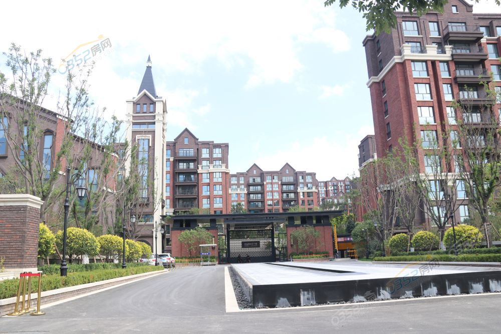 12173827bbfc40fba77600.jpg IMG_1142.JPG