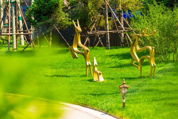 23163117adea9b88054421.jpg 鍥劇墖13.jpg