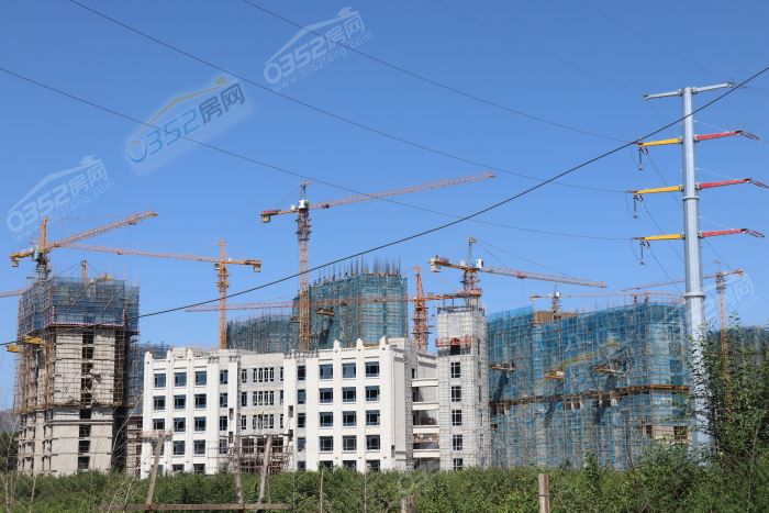 231726394842c92a674086.jpg IMG_1237.JPG