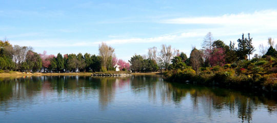 311707441c6b1111783224.jpg 311707441c6b1111783224.jpg