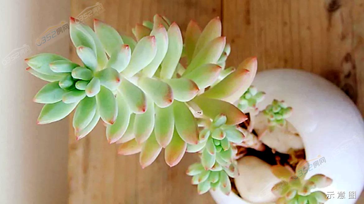 02102923c796b36b2a9094.jpg 02102923c796b36b2a9094.jpg