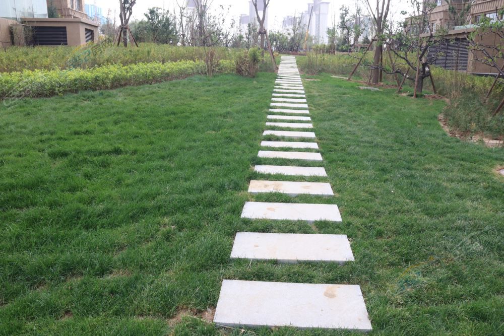 191623557b0f6ada740729.jpg 191623557b0f6ada740729.jpg