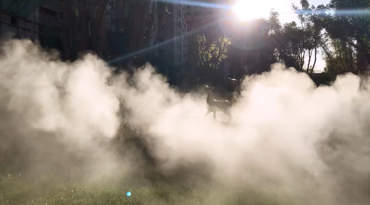 30143549e243b163092915.jpg 30143549e243b163092915.jpg