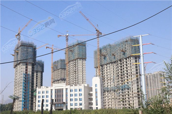 101639335998fd8ee93906.jpg 鍩庡競(jìng)緇翠篃綰?JPG