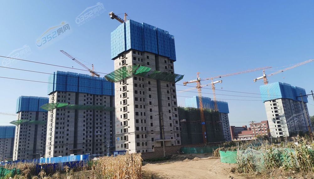 12165322337ab5b9ff4420.jpg 12165322337ab5b9ff4420.jpg