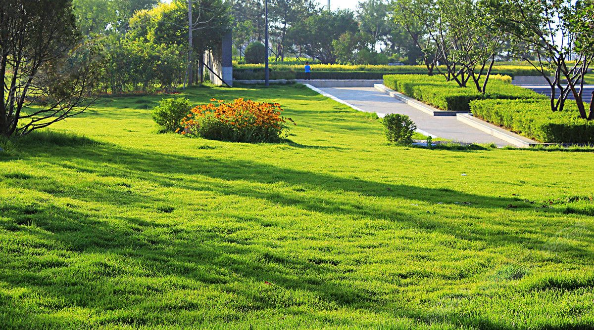 24160246343a6581515200.jpg 24160246343a6581515200.jpg