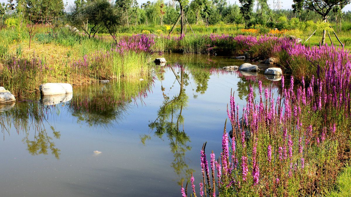 241603066899c954641641.jpg 241603066899c954641641.jpg