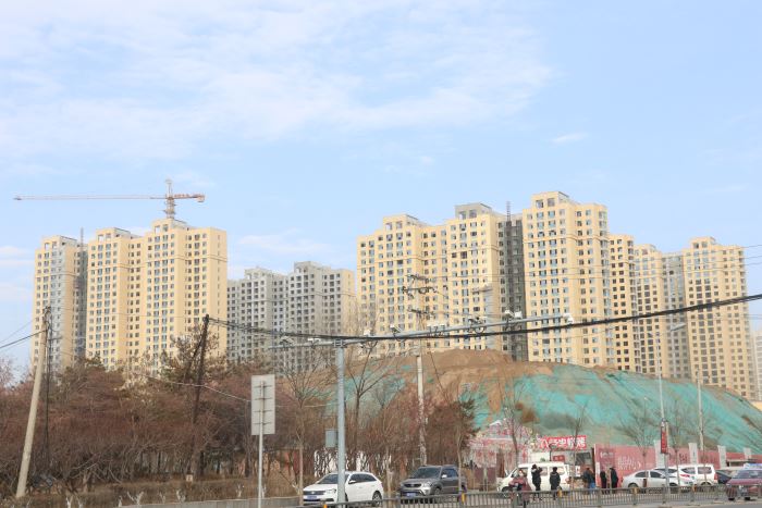 231639573b4f37c4767161.jpg IMG_5539.JPG