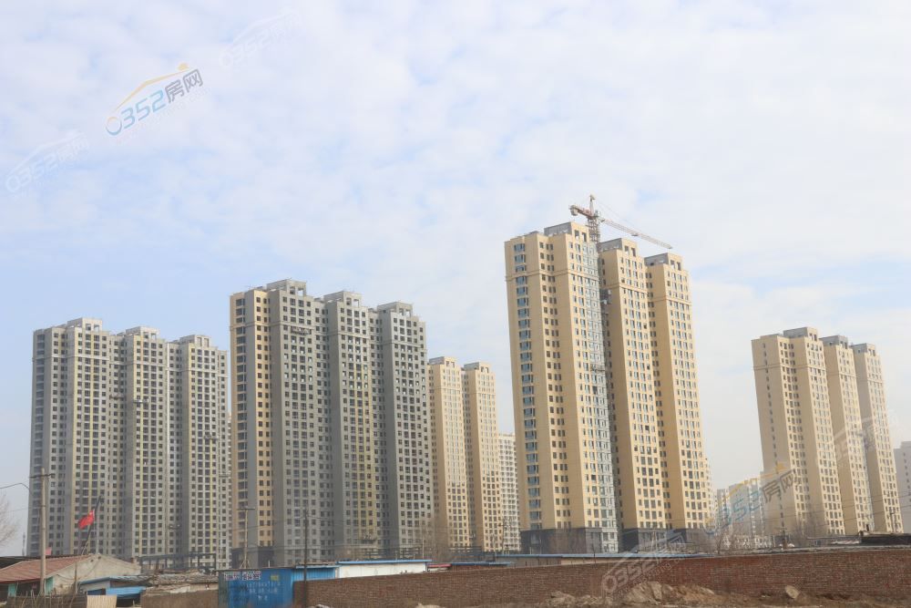 2411361172320737634255.jpg IMG_5542.JPG