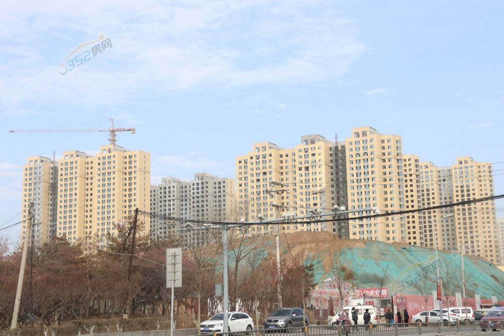 24113625dfcb7fc4976364.jpg IMG_5539.JPG