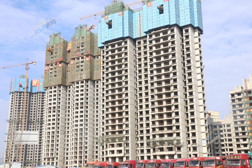 2413353532defd36310927.jpg IMG_5590.JPG