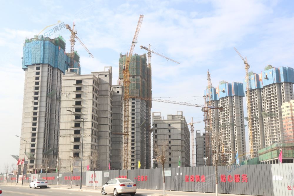 24133548a6a4922ee10526.jpg IMG_5587.JPG