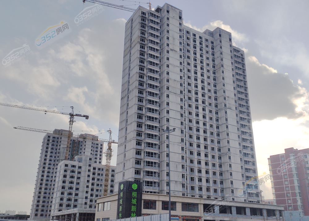 10171815565654db6f4264.jpg 桐城新林.jpg