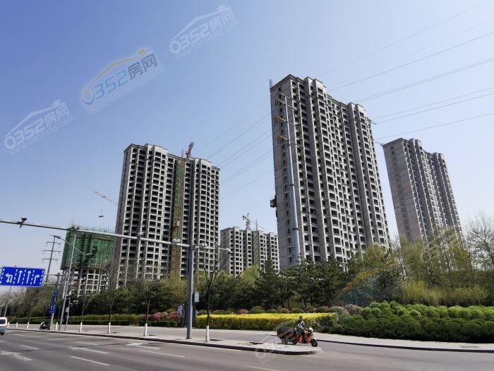 30165337a5c082041b8802.jpg 1.jpg