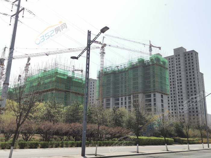 301653467cb72034773970.jpg 2.jpg