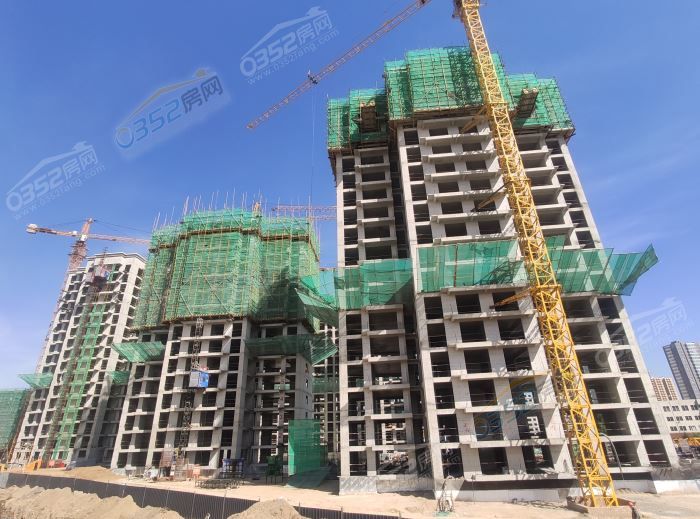 0717254024c170fdc80613.jpg 4.jpg