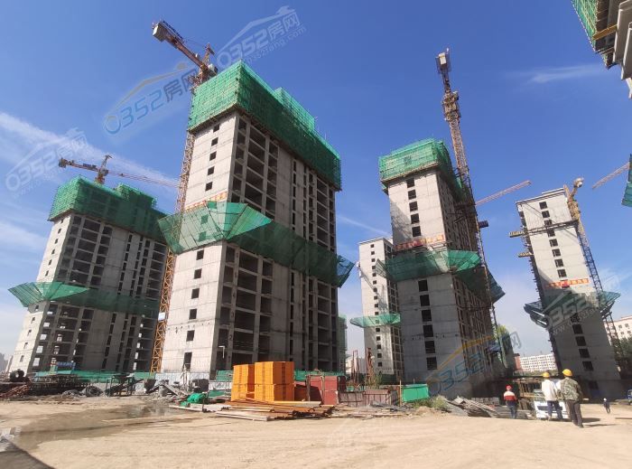 071728230eadf78d536786.jpg 5.jpg