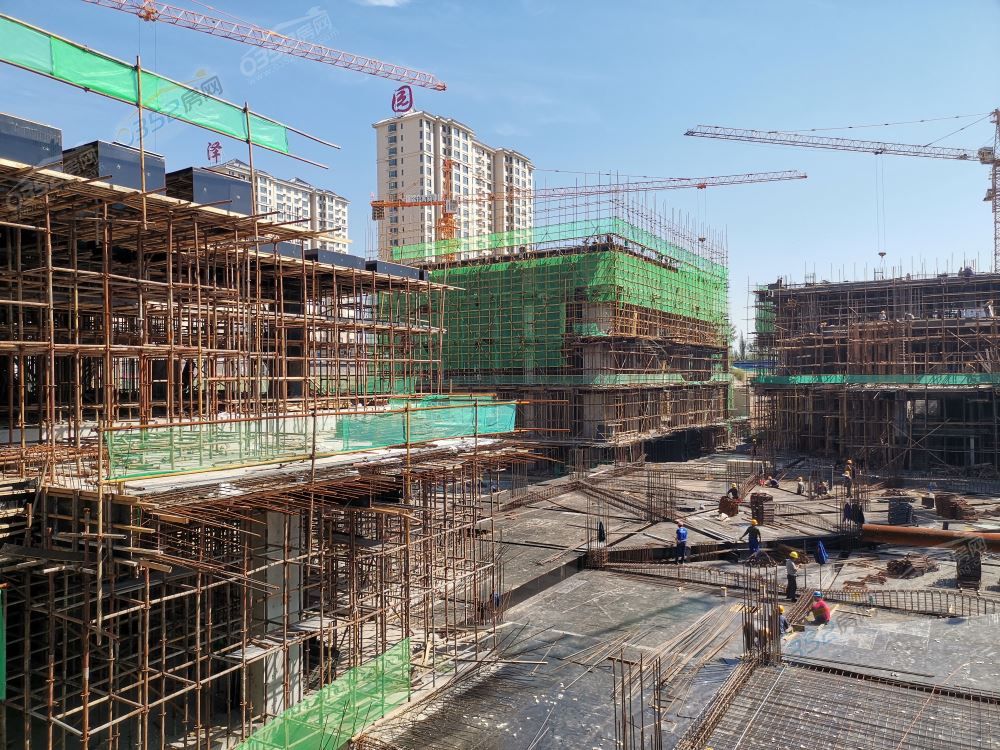 28165620ccafcfd2de8800.jpg 2.jpg