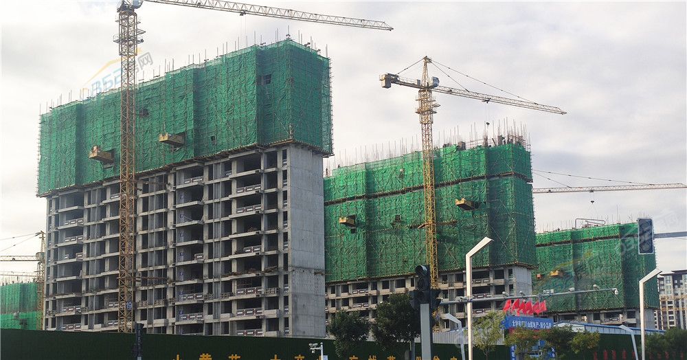 30091458d93b945fd90446.jpg 太和道.jpg