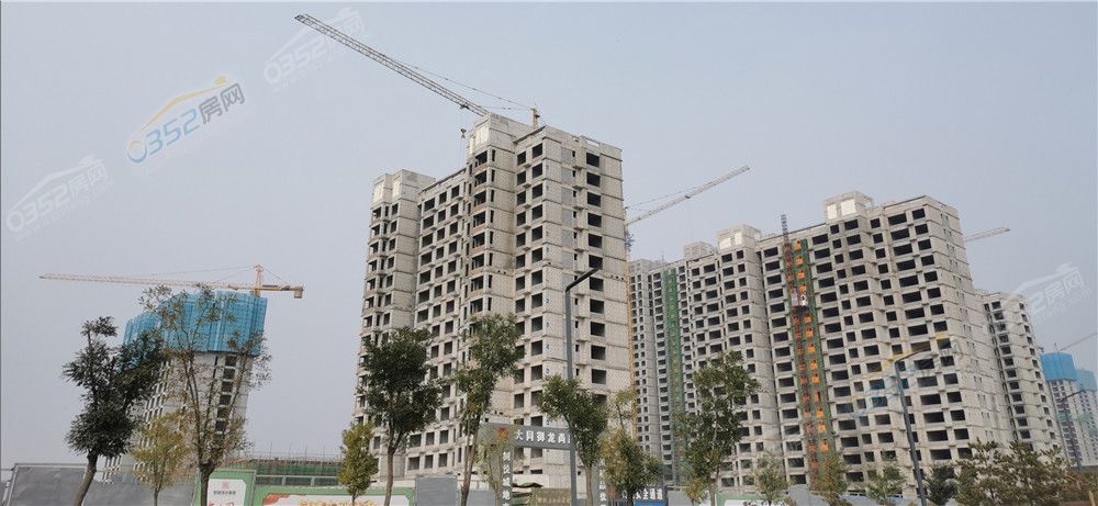 30091827d1698d6a7c0462.jpg 御龍.jpg