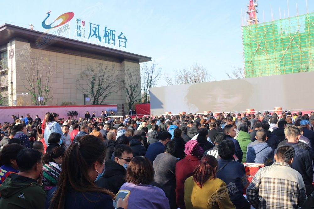 12113116cf2507dce91102.jpg IMG_1400.JPG