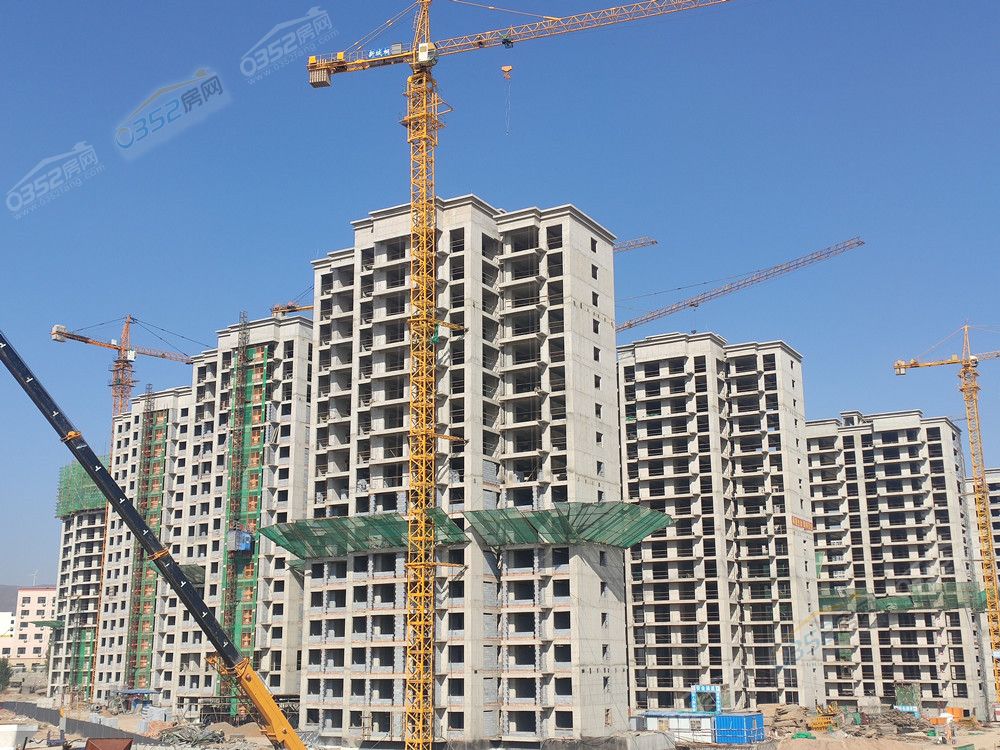 19163316727d49c6636023.jpg 10.19.1.jpg