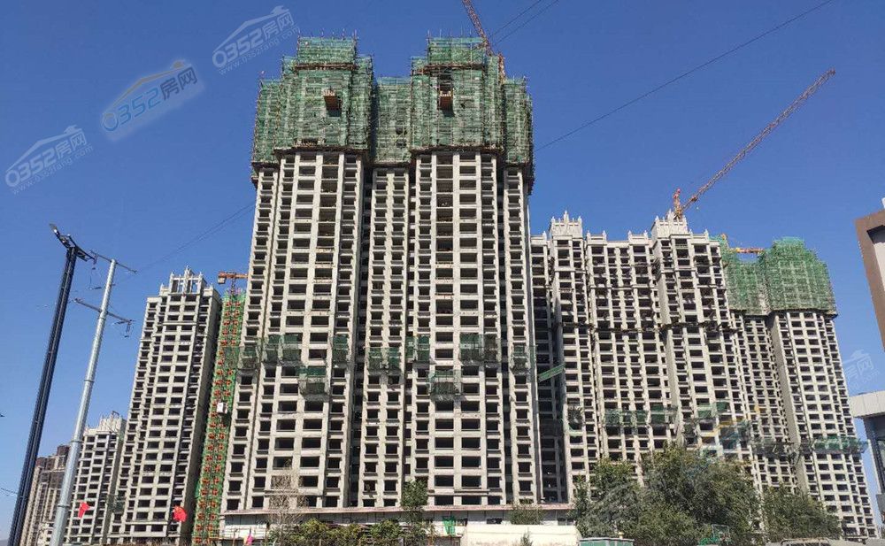 19163348c18739512a1229.jpg 10.19.3.jpg