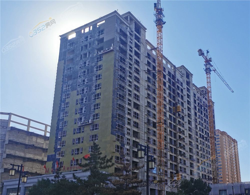 1917225505d7e058316943.jpg 姘告嘲澶у帵.jpg