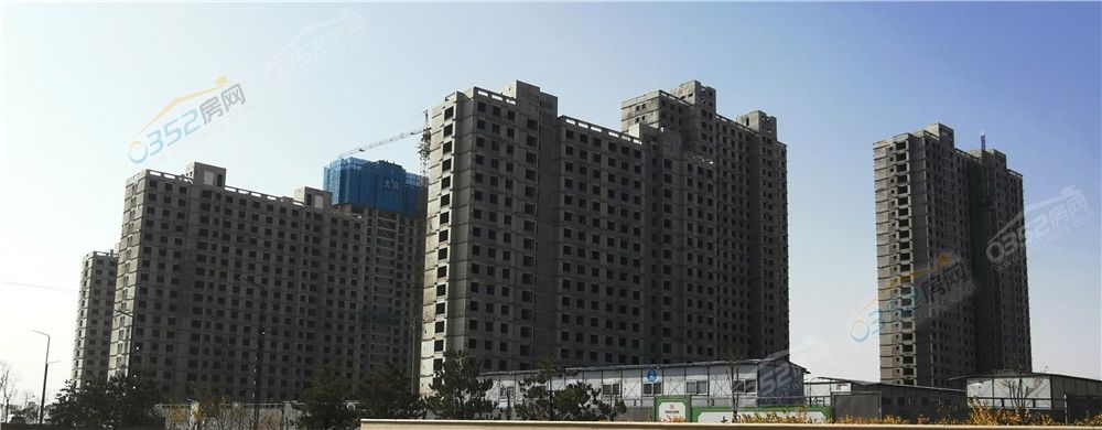 261545503405af82359252.jpg 御龍.jpg