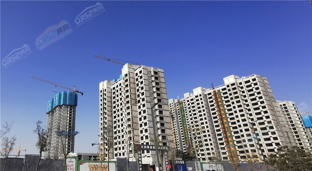 261546002c111882025011.jpg 御龍2.jpg