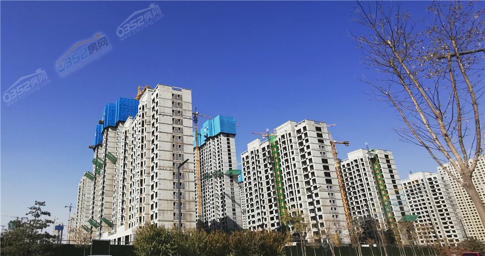 261547078cf7d45bb90771.jpg 麗景2.jpg