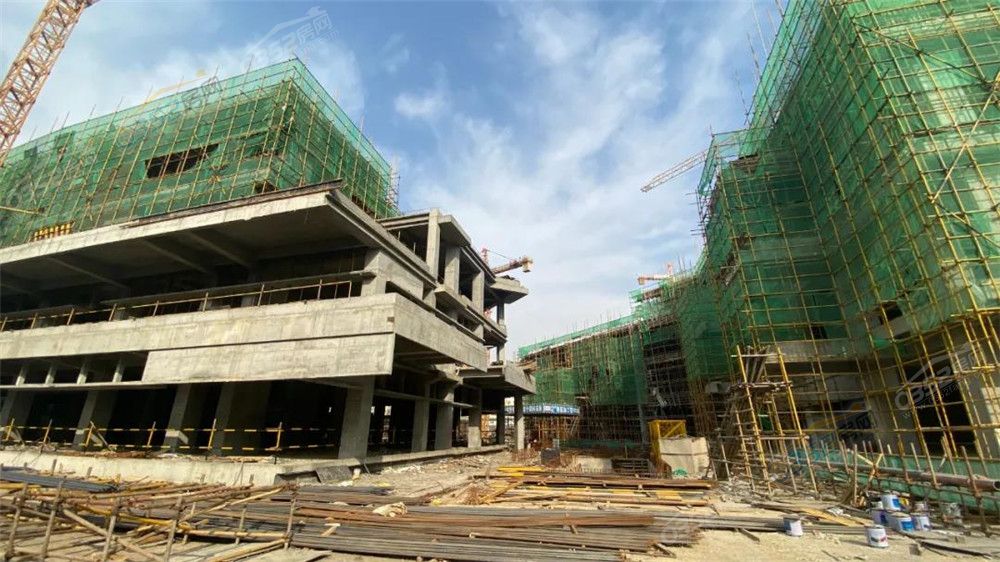 31161051c0b29071574992.jpg 2.jpg