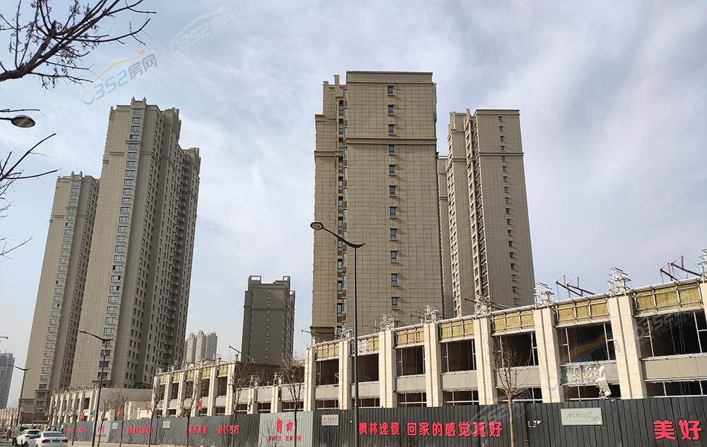 141106338b0f5607813655.png 11.png