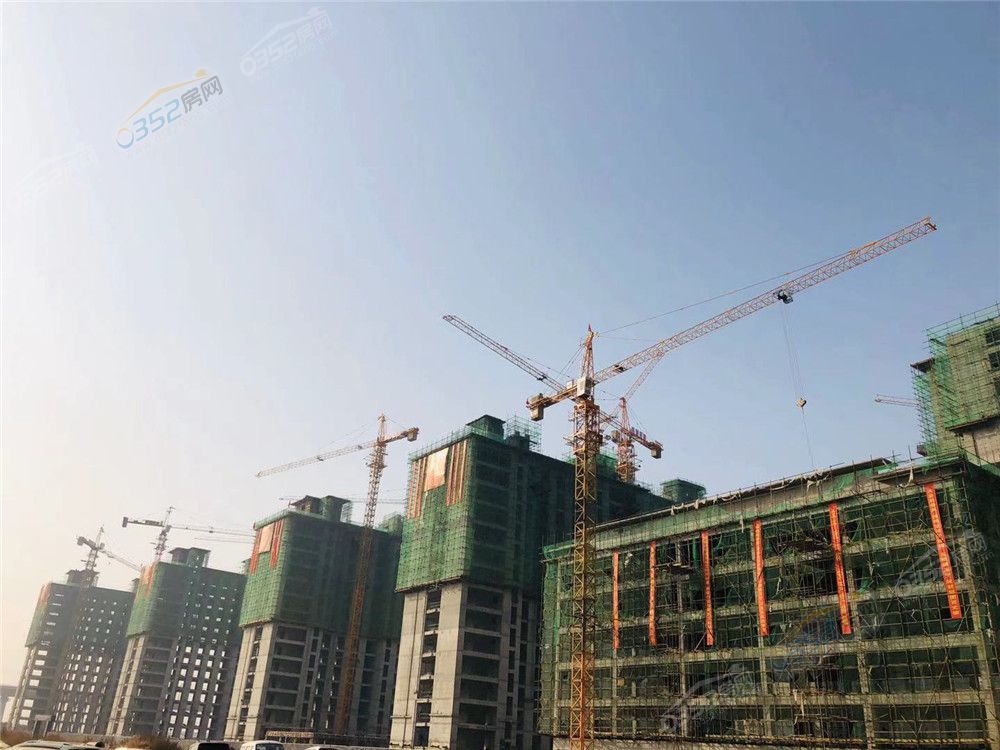 16143157f8a74d8a626325.jpg 11.15.3.jpg