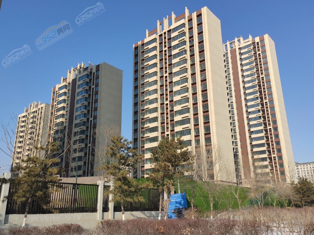 25155655f1587a1de41923.jpg 紕ф?鍥 (1).jpg