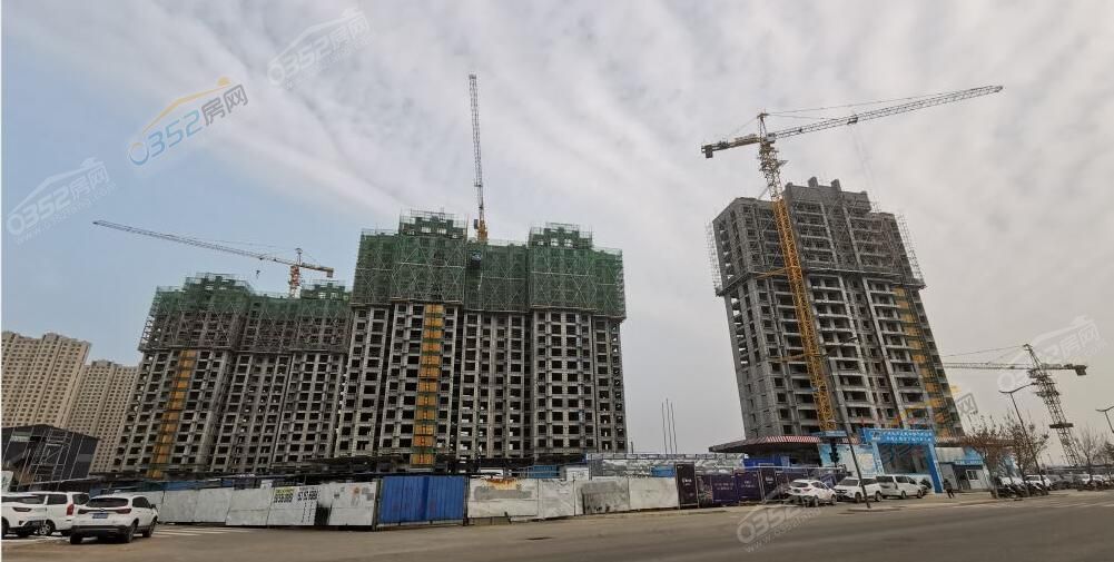 261546570b8bf3e32e8464.jpg 900.jpg