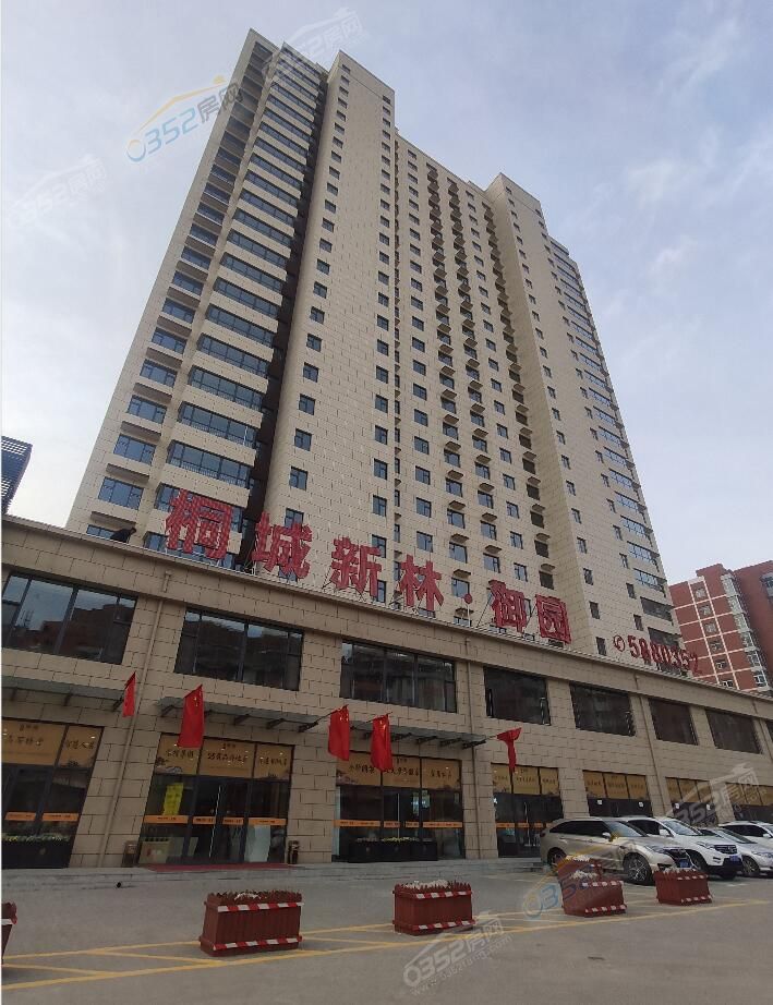 031504474bc729bb4c2288.jpg 9988.jpg