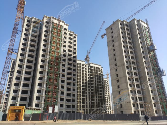 IMG_20210324_093512.jpg IMG_20210324_093512.jpg